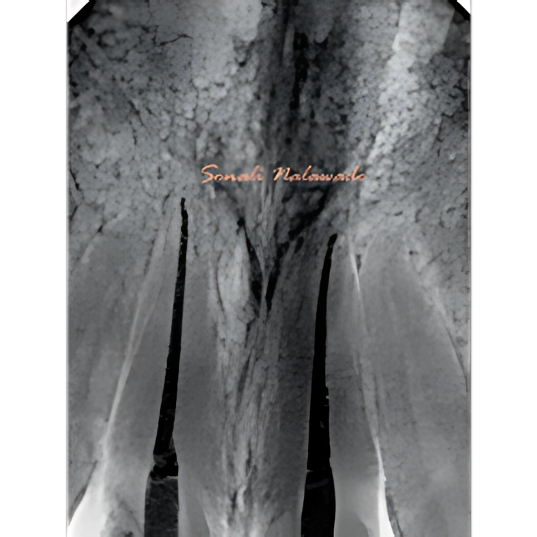 Root Canal Filling in Pradhikaran – Secure Sealing